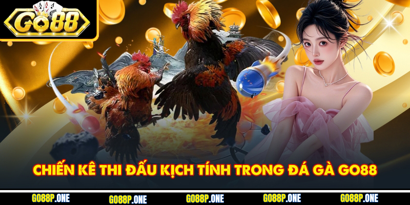 Chiến kê thi đấu kịch tính trong đá gà Go88
