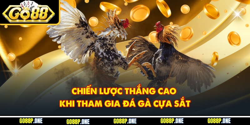 Chiến lược thắng cao khi tham gia đá gà cựa sắt