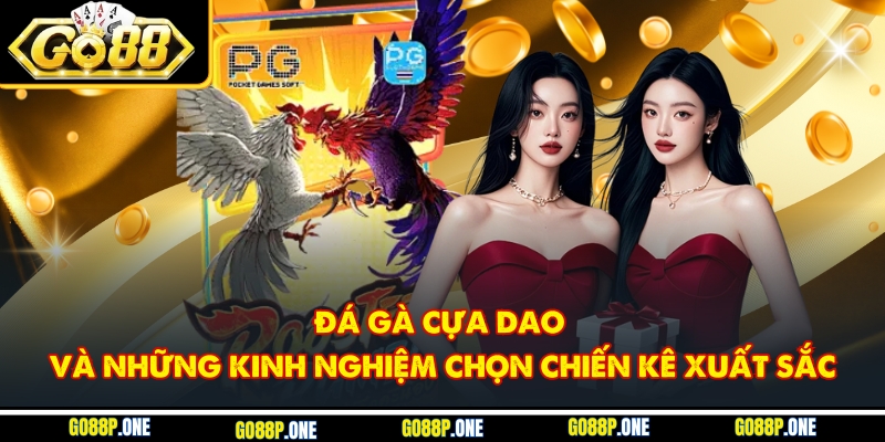 Đá Gà Cựa Dao Và Những Kinh Nghiệm Chọn Chiến Kê Xuất Sắc