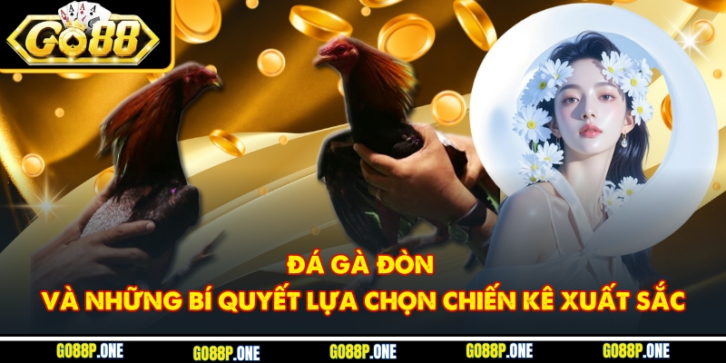 Đá Gà Đòn Và Những Bí Quyết Lựa Chọn Chiến Kê Xuất Sắc