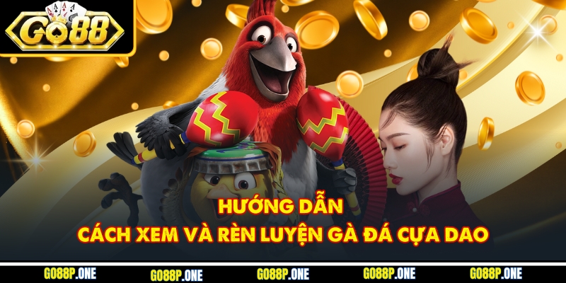Hướng dẫn cách xem và rèn luyện gà đá cựa dao
