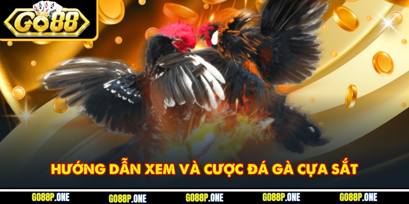Hướng dẫn xem và cược đá gà cựa sắt