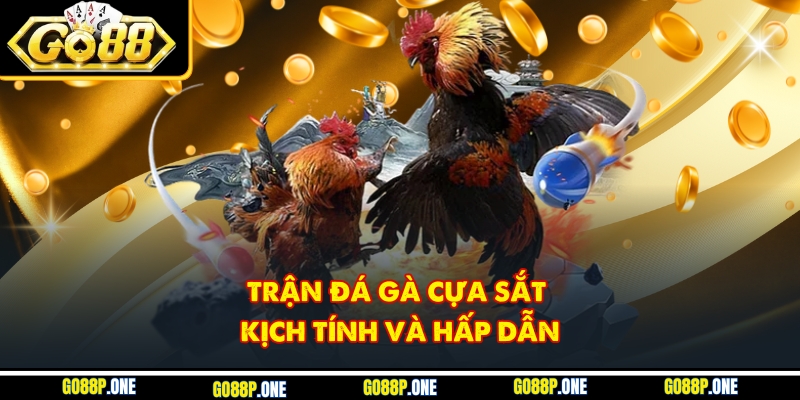 Màn so tài đá gà cựa sắt đầy gay cấn và lôi cuốn