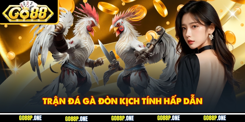 Trận đá gà đòn kịch tính hấp dẫn